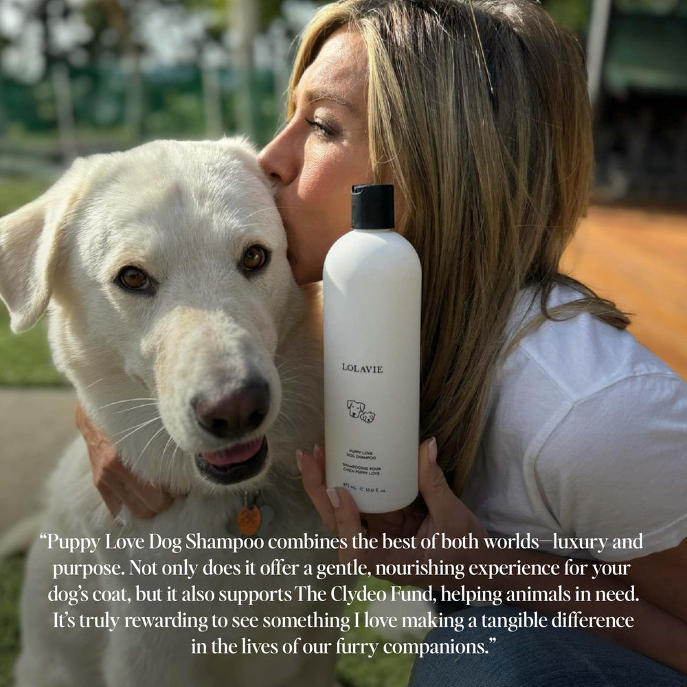 LolaVie Puppy Love shampoo lathers well for all coat types