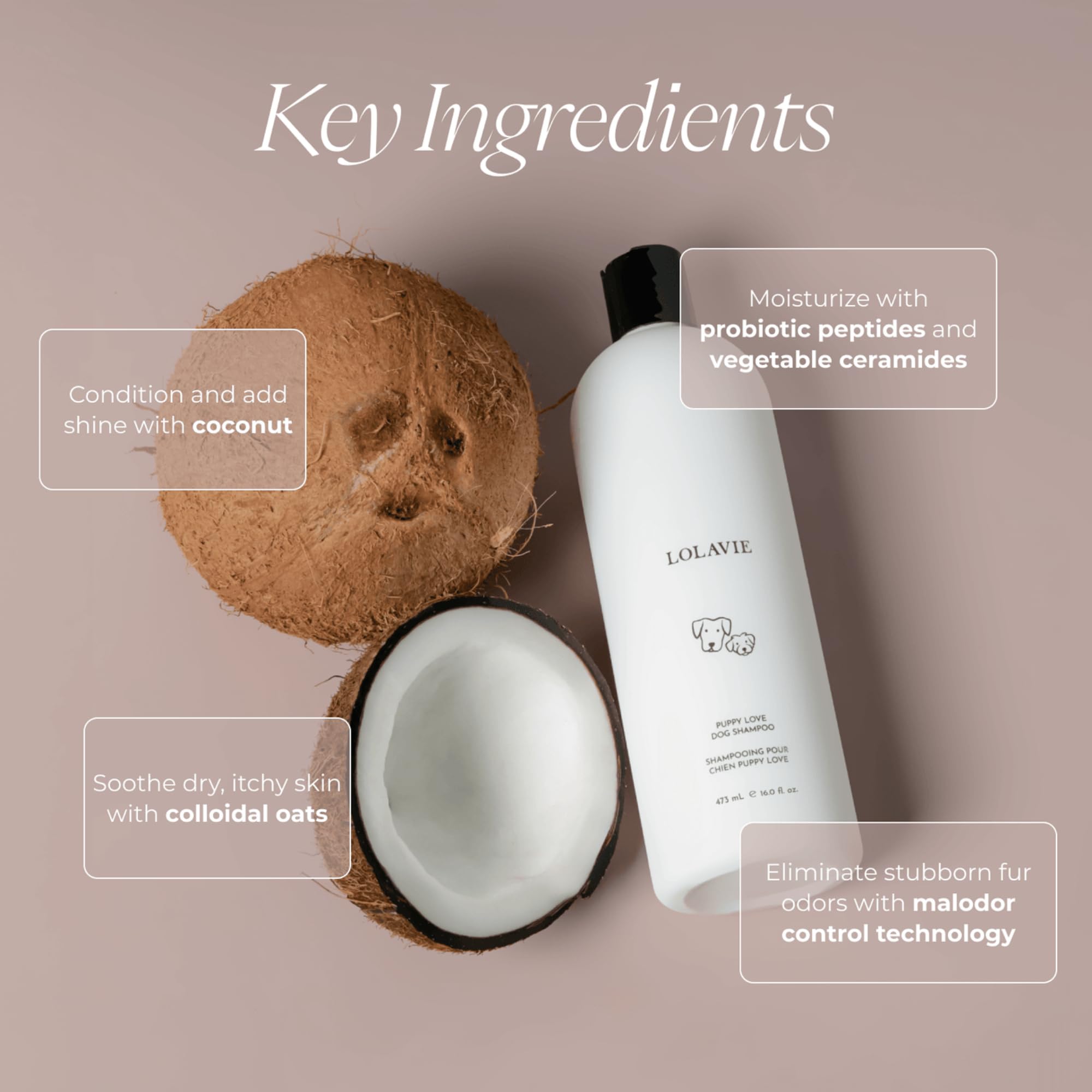 LolaVie Puppy Love shampoo with colloidal oats soothes sensitive puppy skin