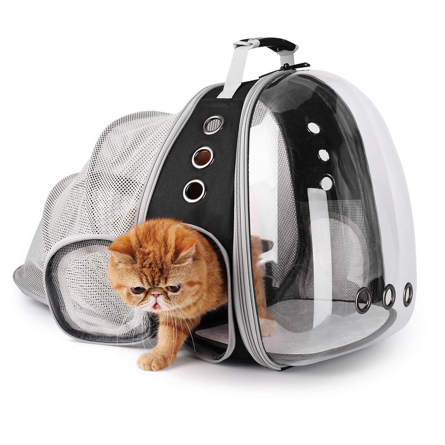 LOLLIMEOW adventure organization pocket keeps treats and a mini fan handy