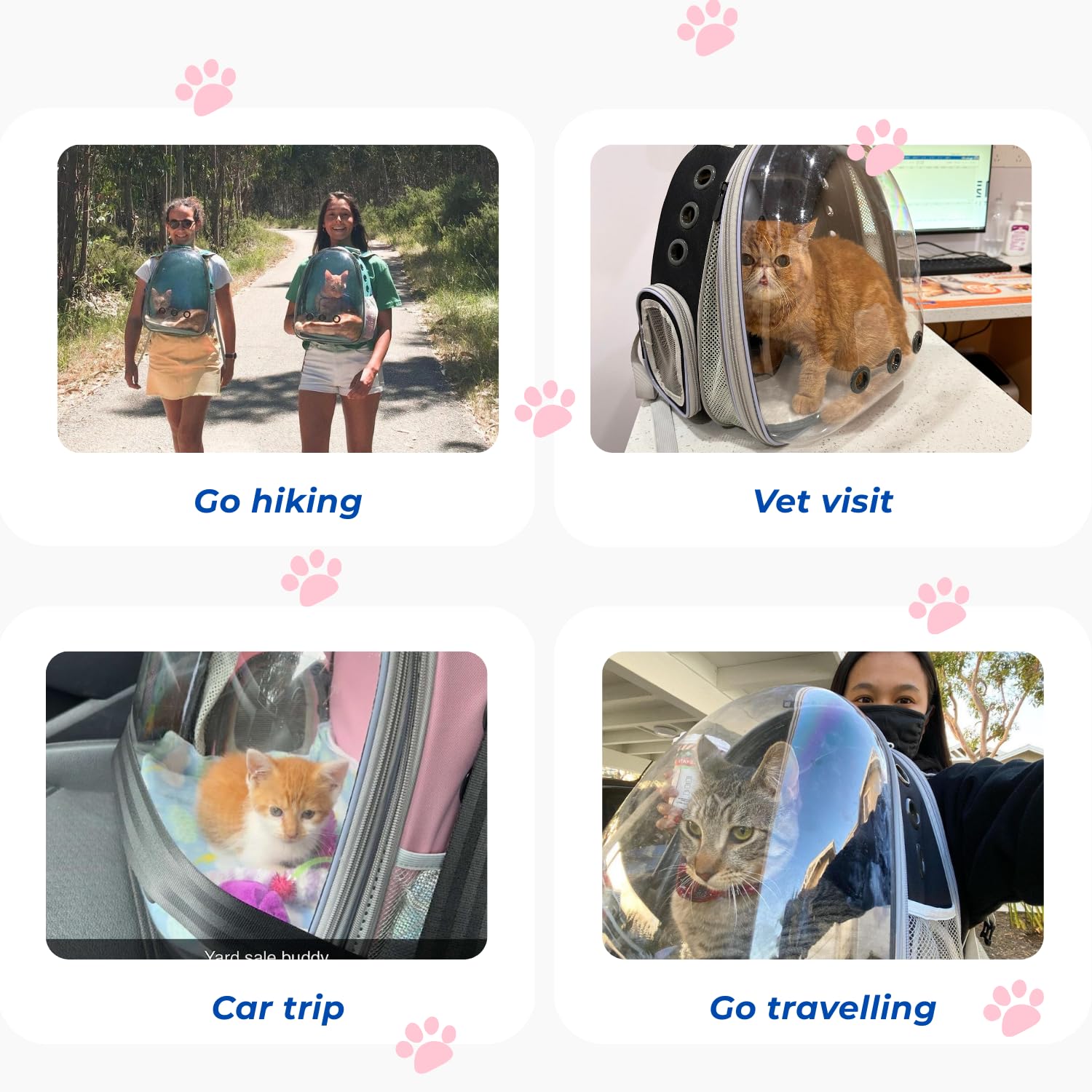 Lollimeow bubble-window backpack in use during outdoor hiking and walking