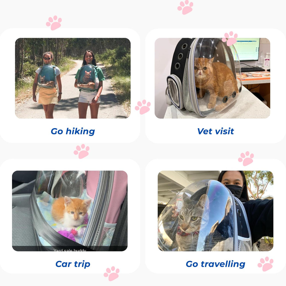 Lollimeow bubble-window backpack in use during outdoor hiking and walking