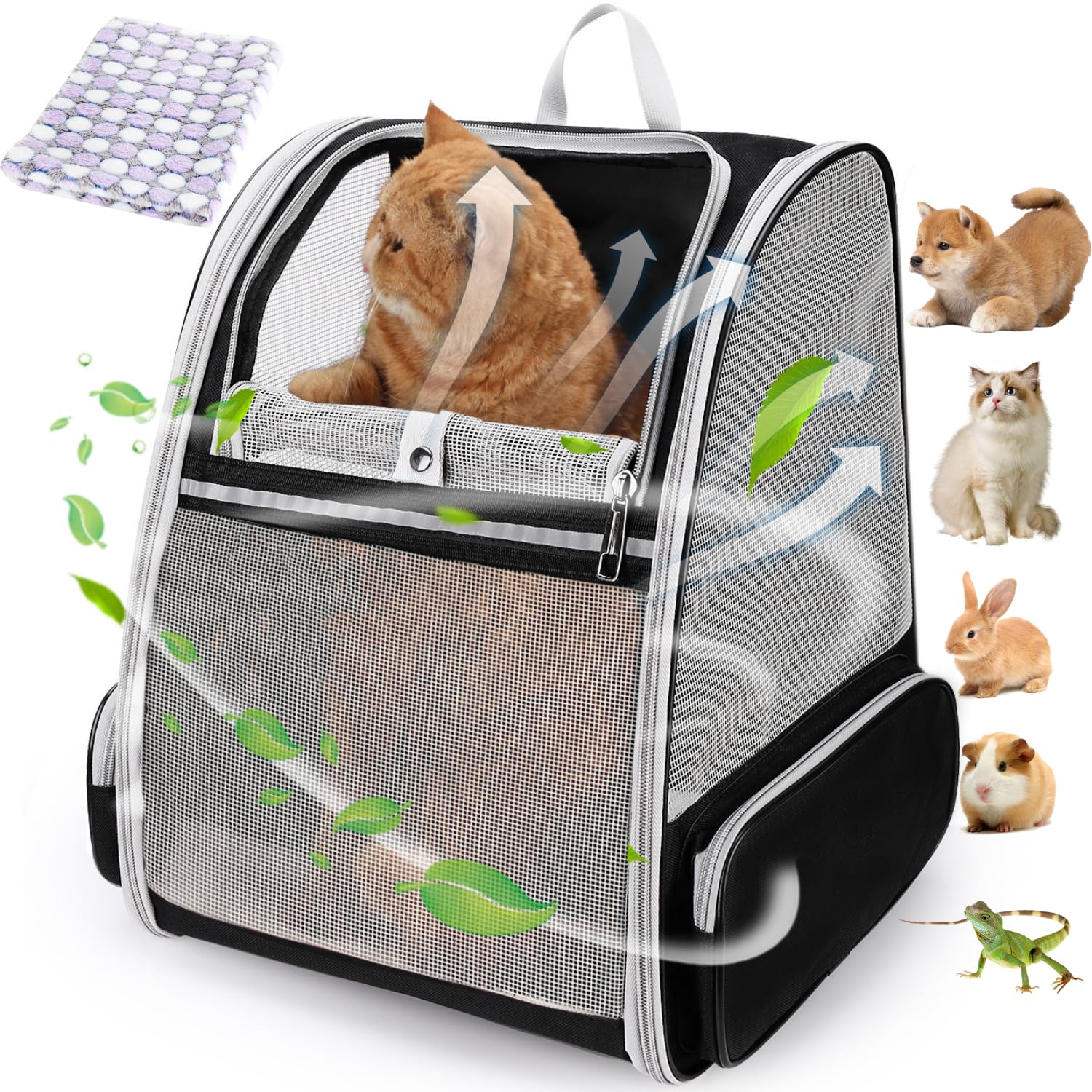 LOLLIMEOW Cat Backpack Carrier with breathable mesh keeps pets cool and visible.