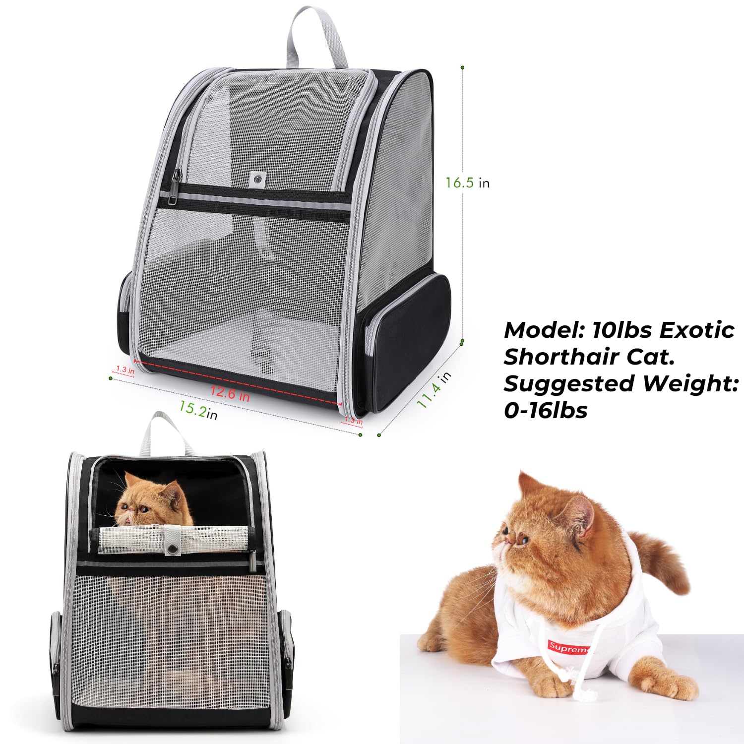LOLLIMEOW Cat Backpack Carrier features dual cushions for travel comfort.