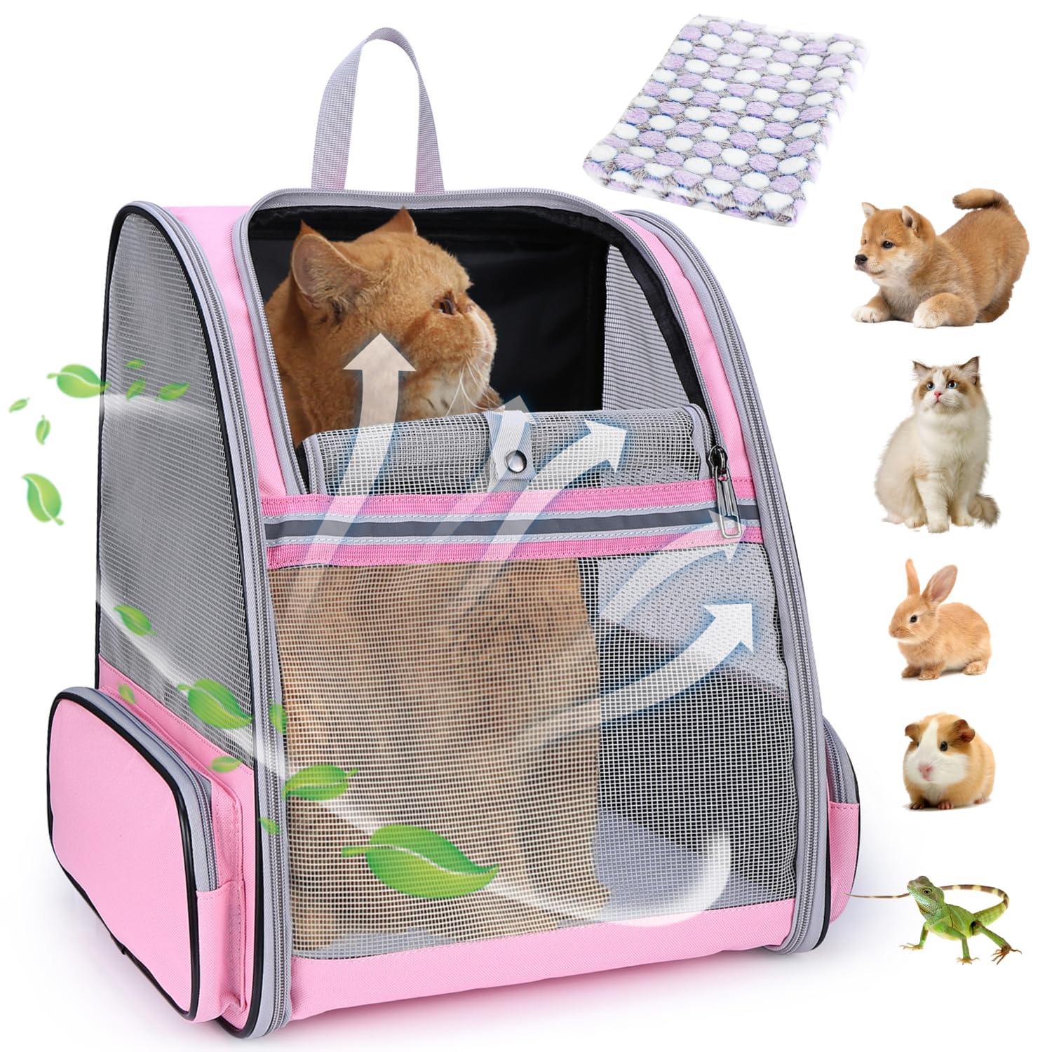 Lollimeow cat backpack carrier front view shows breathable mesh for cool travel.