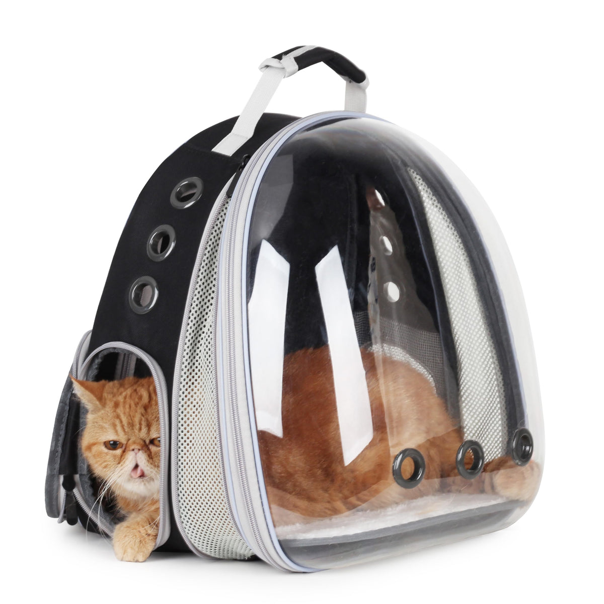 Lollimeow bubble-window cat carrier backpack for safe travel and curious observation