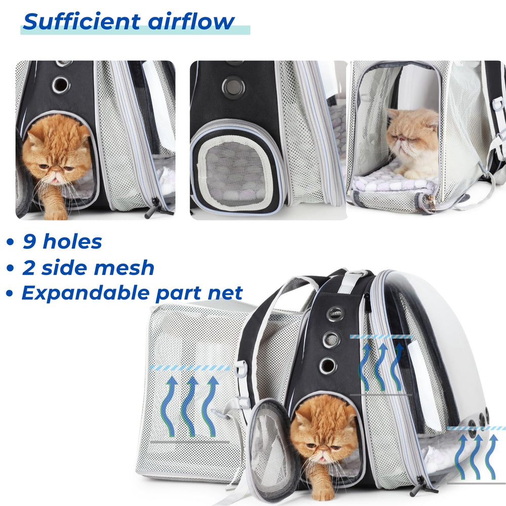 LOLLIMEOW ergonomic straps with lumbar support reduce shoulder strain during travel