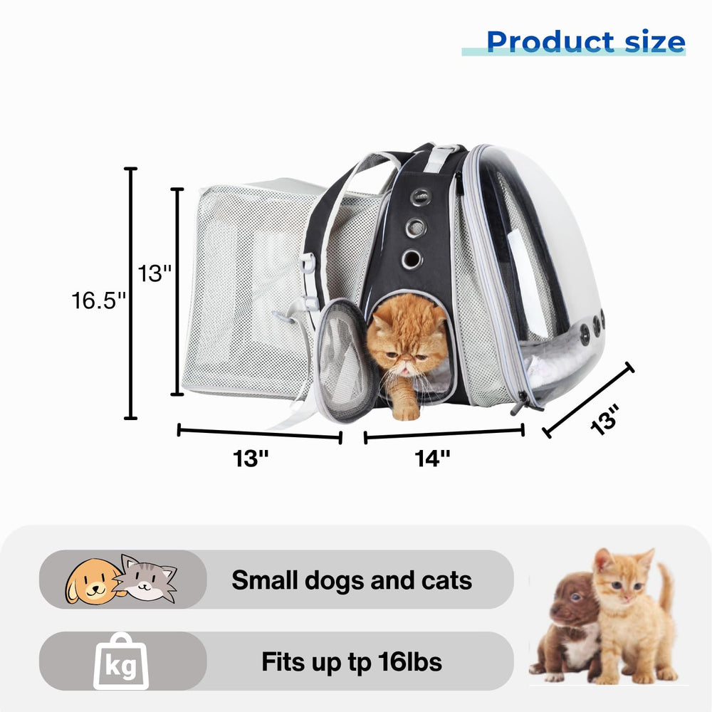 LOLLIMEOW backpack with breathable vents keeps pets cool during hikes