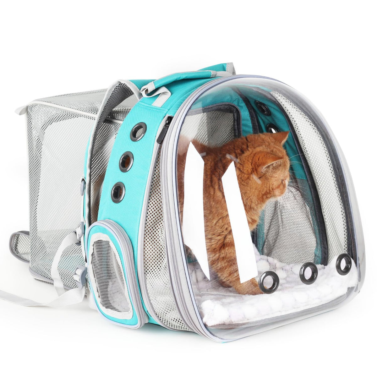LOLLIMEOW expandable bubble window offers a clear view for curious pets on the move