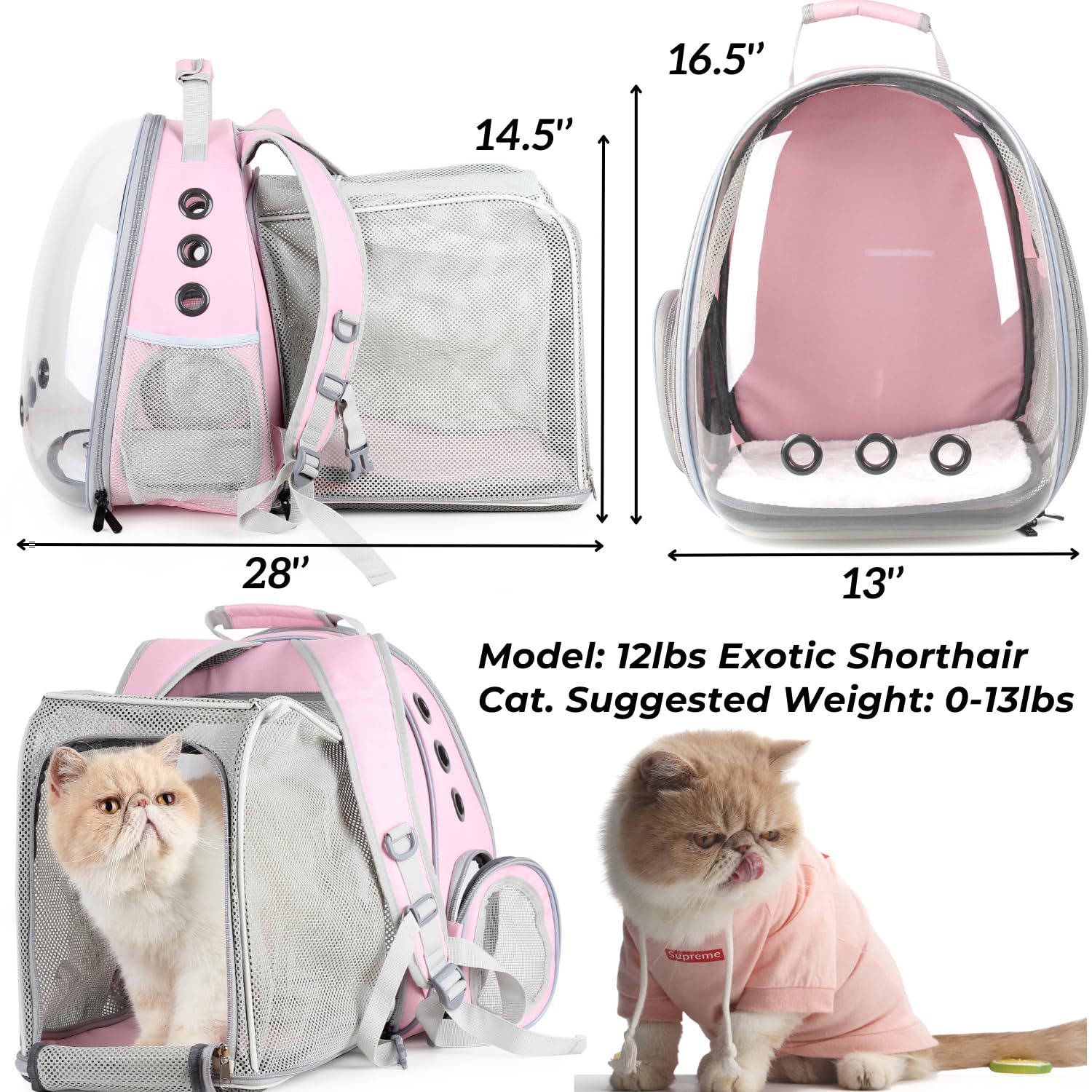 Lollimeow expandable carrier base mat ensures roomy interior when expanded