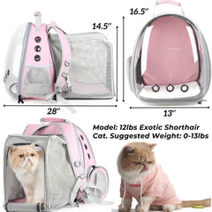 Lollimeow expandable carrier base mat ensures roomy interior when expanded