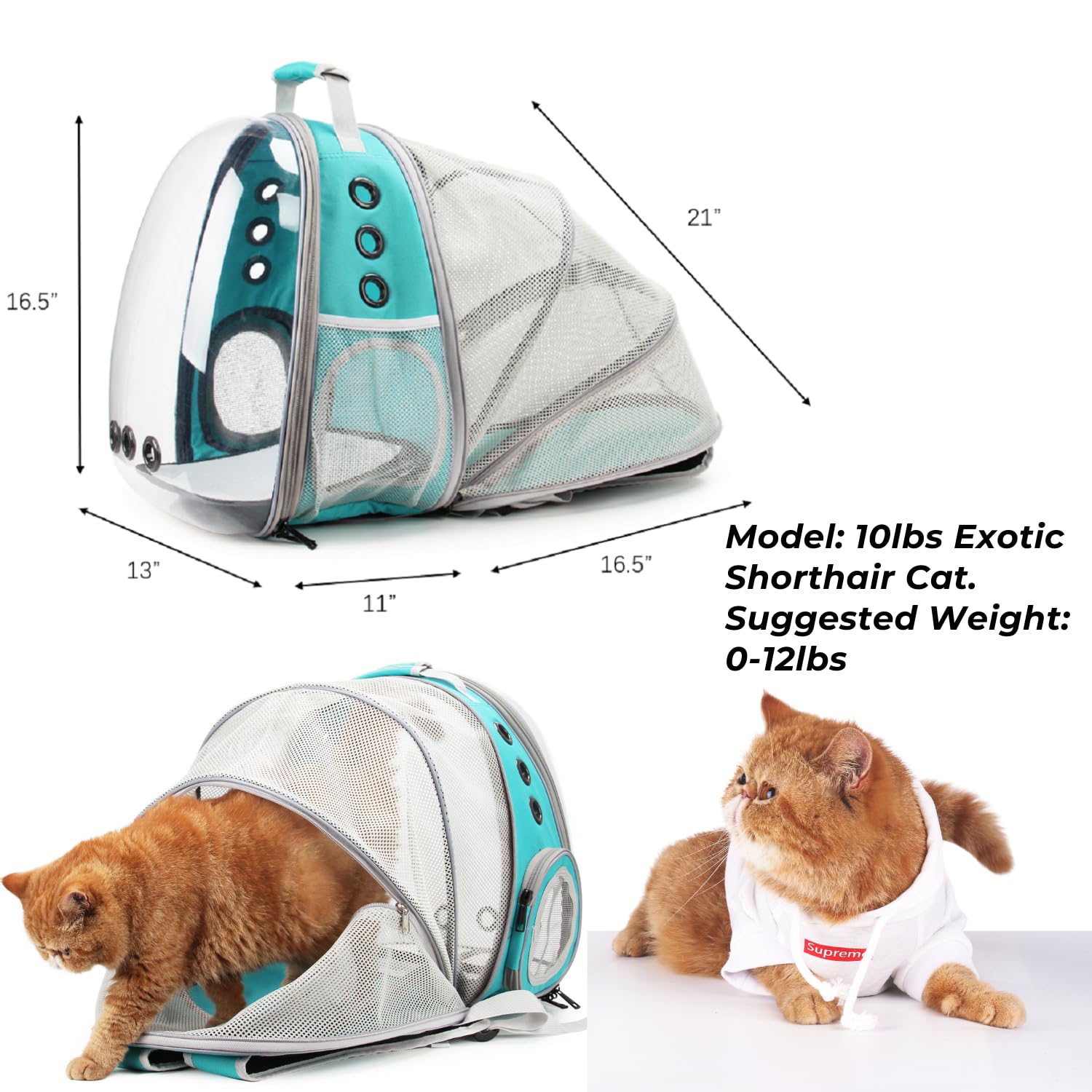 Lollimeow expandable interior space showing extra room for resting on trips