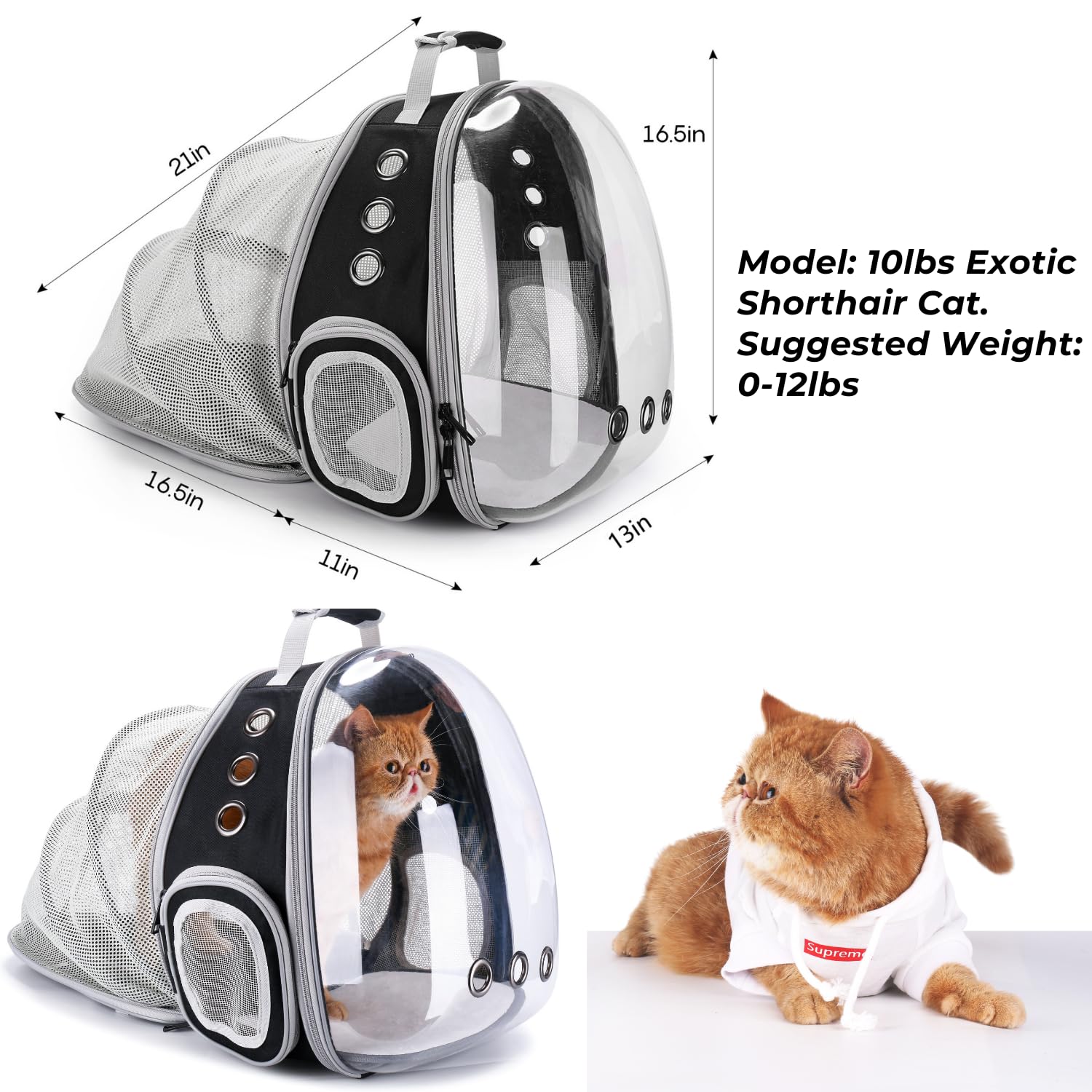 LOLLIMEOW expandable design backpack adds extra space for relaxed pet comfort