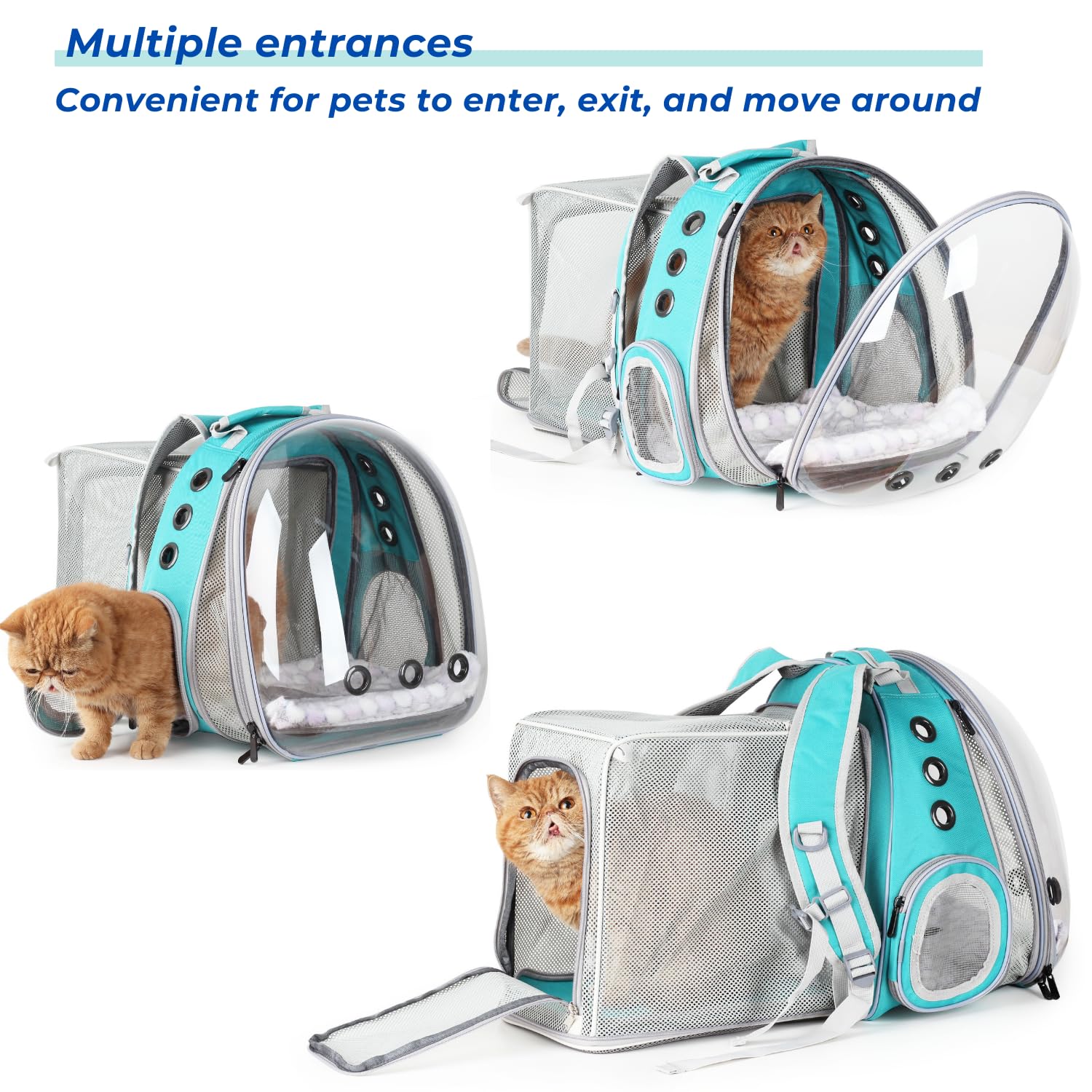 LOLLIMEOW expandable large capacity space demonstrates expanded area for comfort