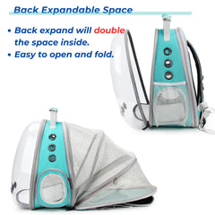 Lollimeow hard shell base with soft cushion supports pet comfort