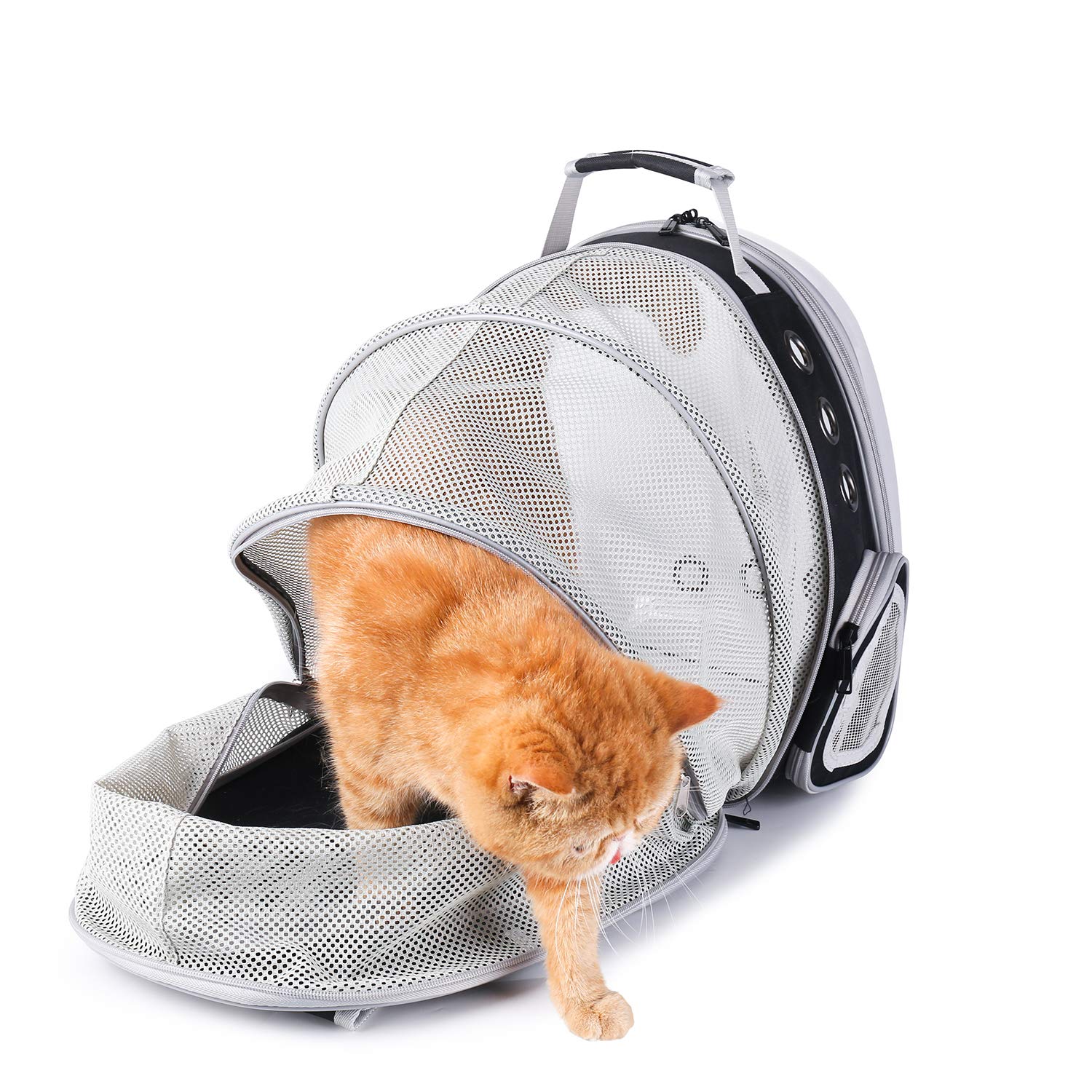 LOLLIMEOW interior-space-expandable reveals doubled room for pet comfort at rest