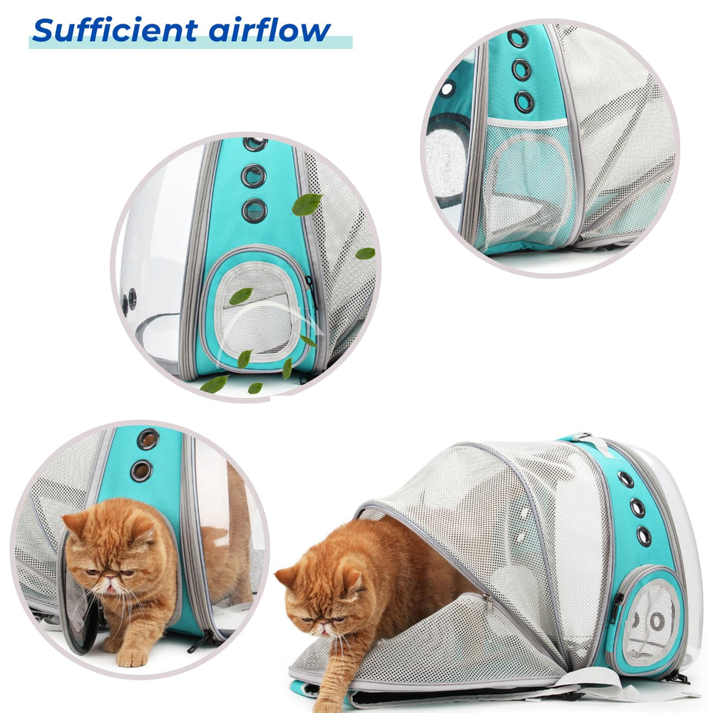 Lollimeow nine vent system and mesh panels for airflow