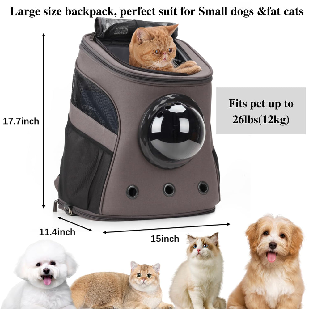 LOLLIMEOW spacious design interior highlights roomy space for fat cats and puppies