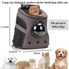 LOLLIMEOW spacious design interior highlights roomy space for fat cats and puppies