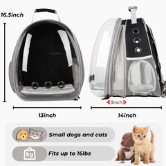 Lollimeow XL expandable design demonstrates extra room for pets up to 16 lbs