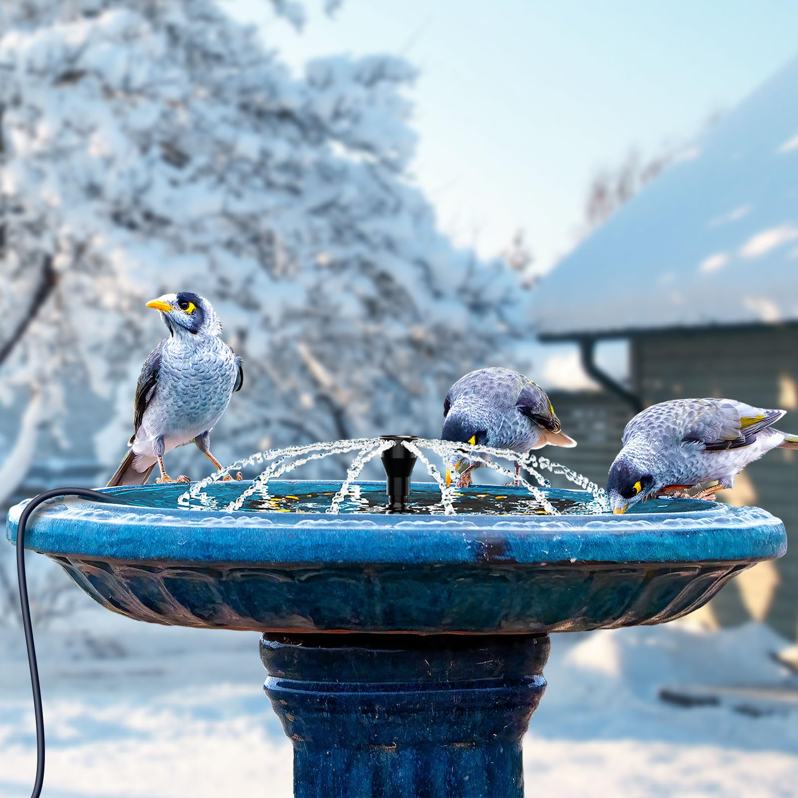 lollyes Bird Bath Heater makes a thoughtful gift for bird lovers.
