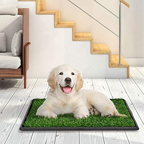 LOMANTOWN dog grass pad tray indoor-outdoor use suited for all-weather setups.