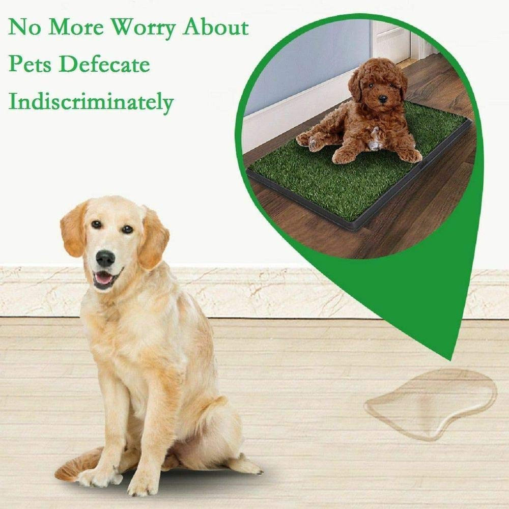 LOMANTOWN dog grass pad tray open lid reveals accessible interior for quick maintenance.