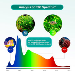 Lominie 6933K high-brightness LEDs illuminate fish and plants.