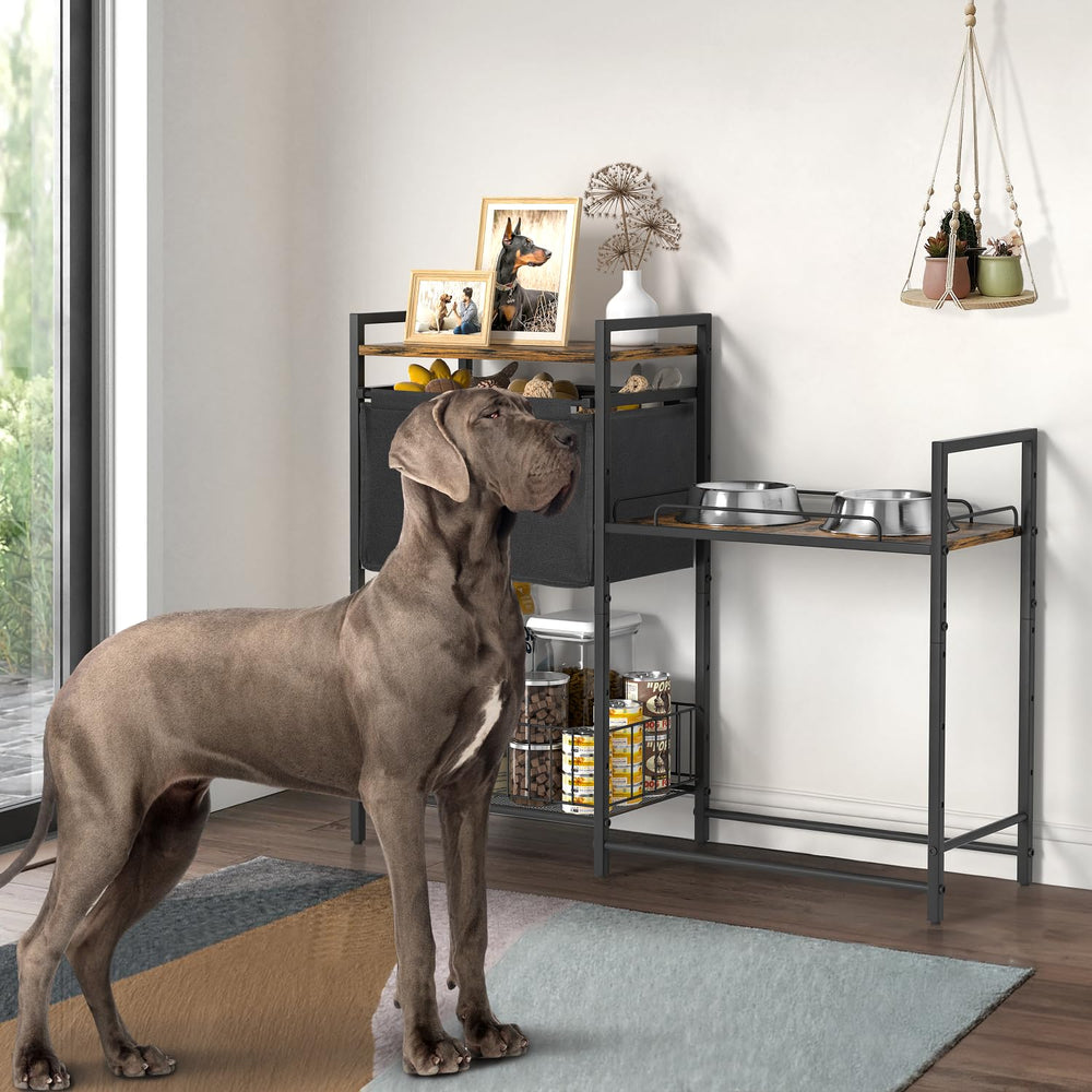 Lomivra elevated dog bowls stand daily-use-ready design supports busy homes with pets.