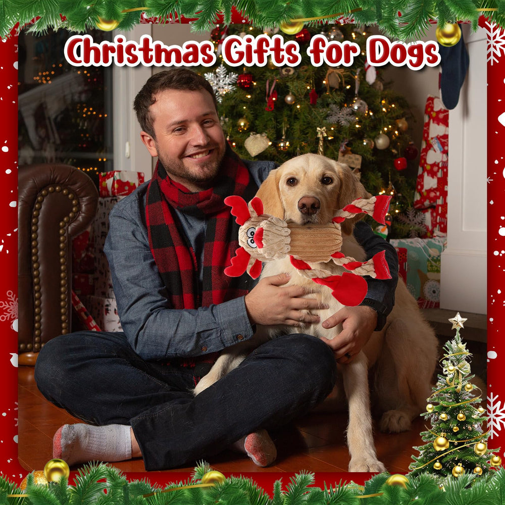 Loncoldy Christmas Reindeer Dog Toy tug rope action enables interactive tug of war
