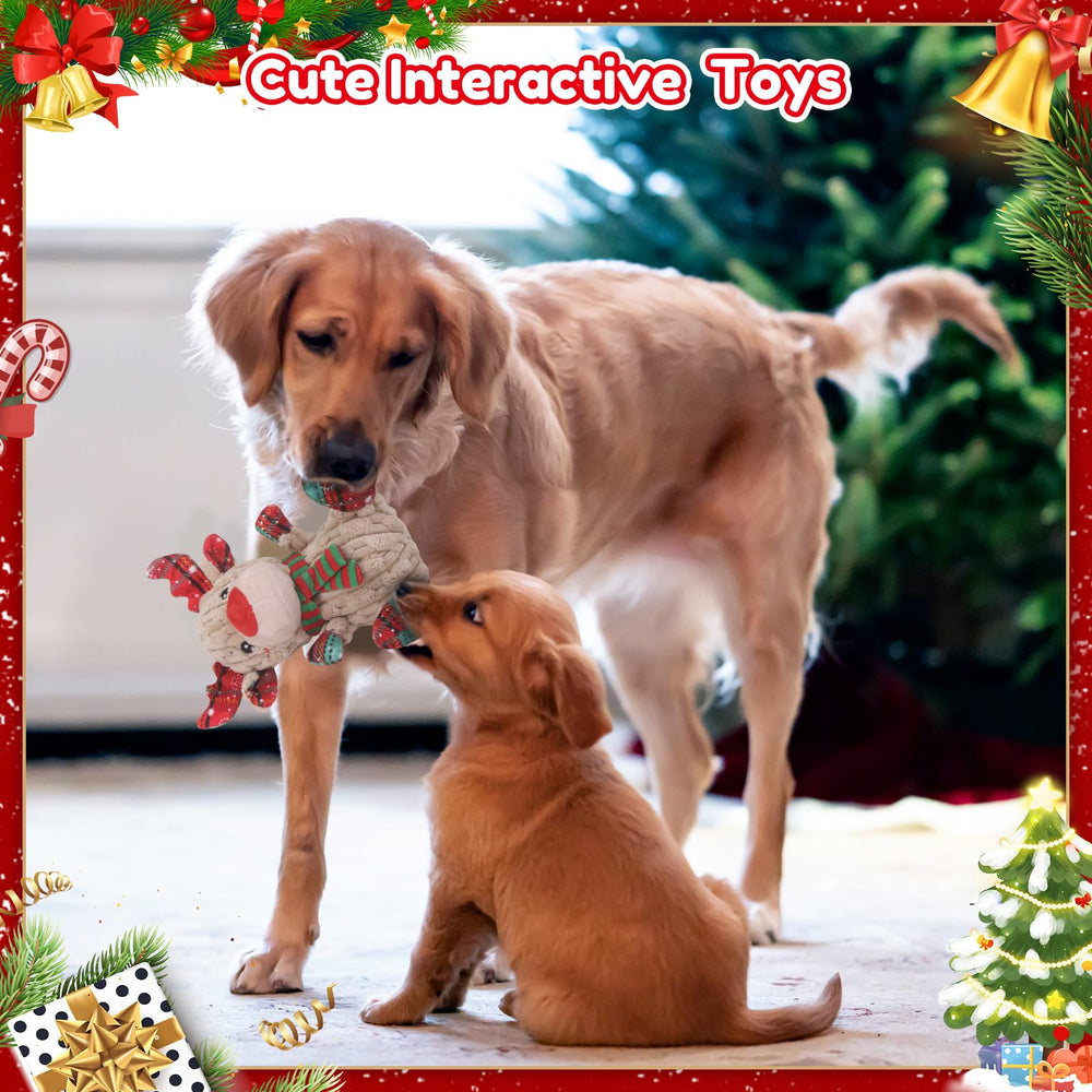 Loncoldy dog toy suitable for indoor and outdoor play to keep dogs entertained.