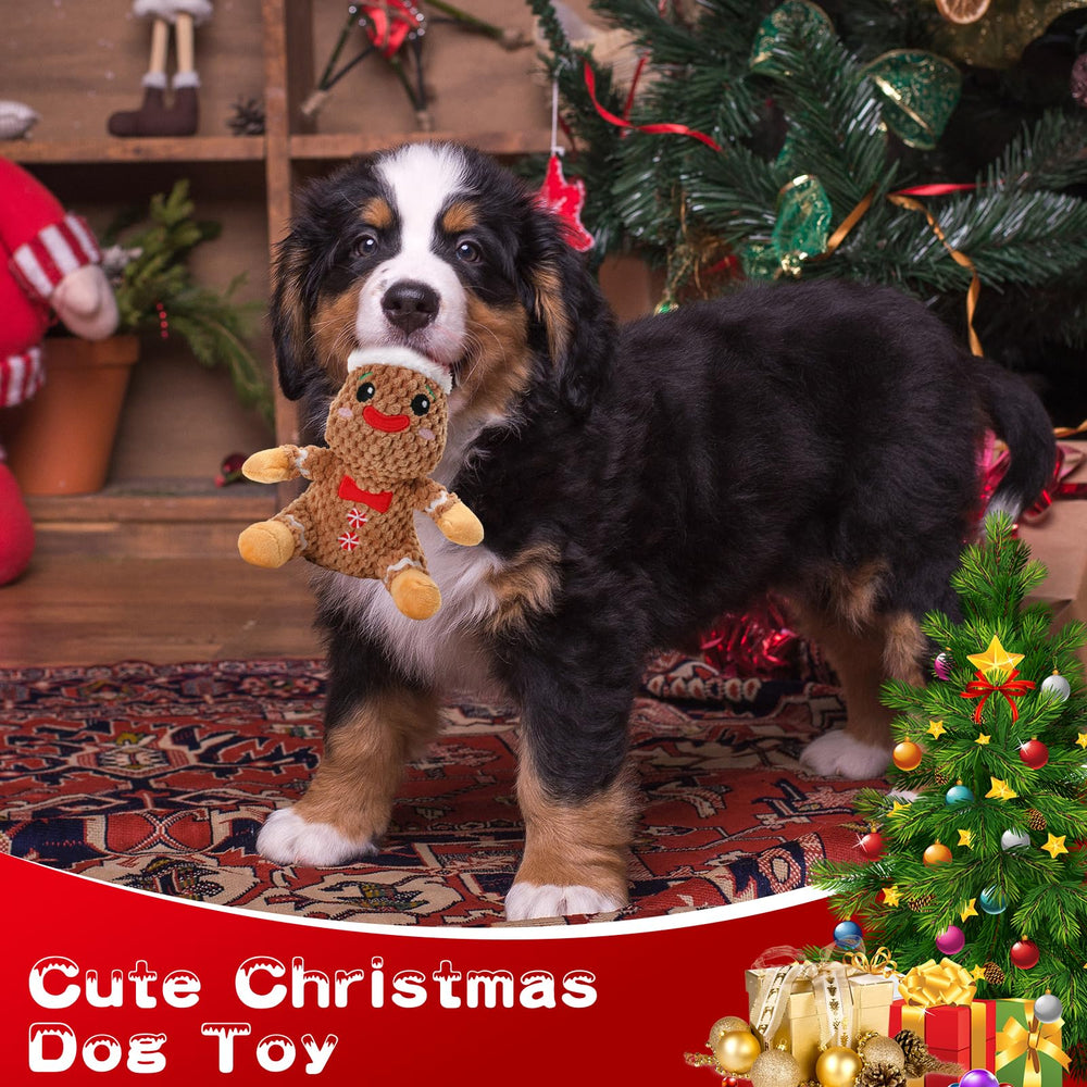 loncoldy plush dog toy with textured surface aids dental-friendly play