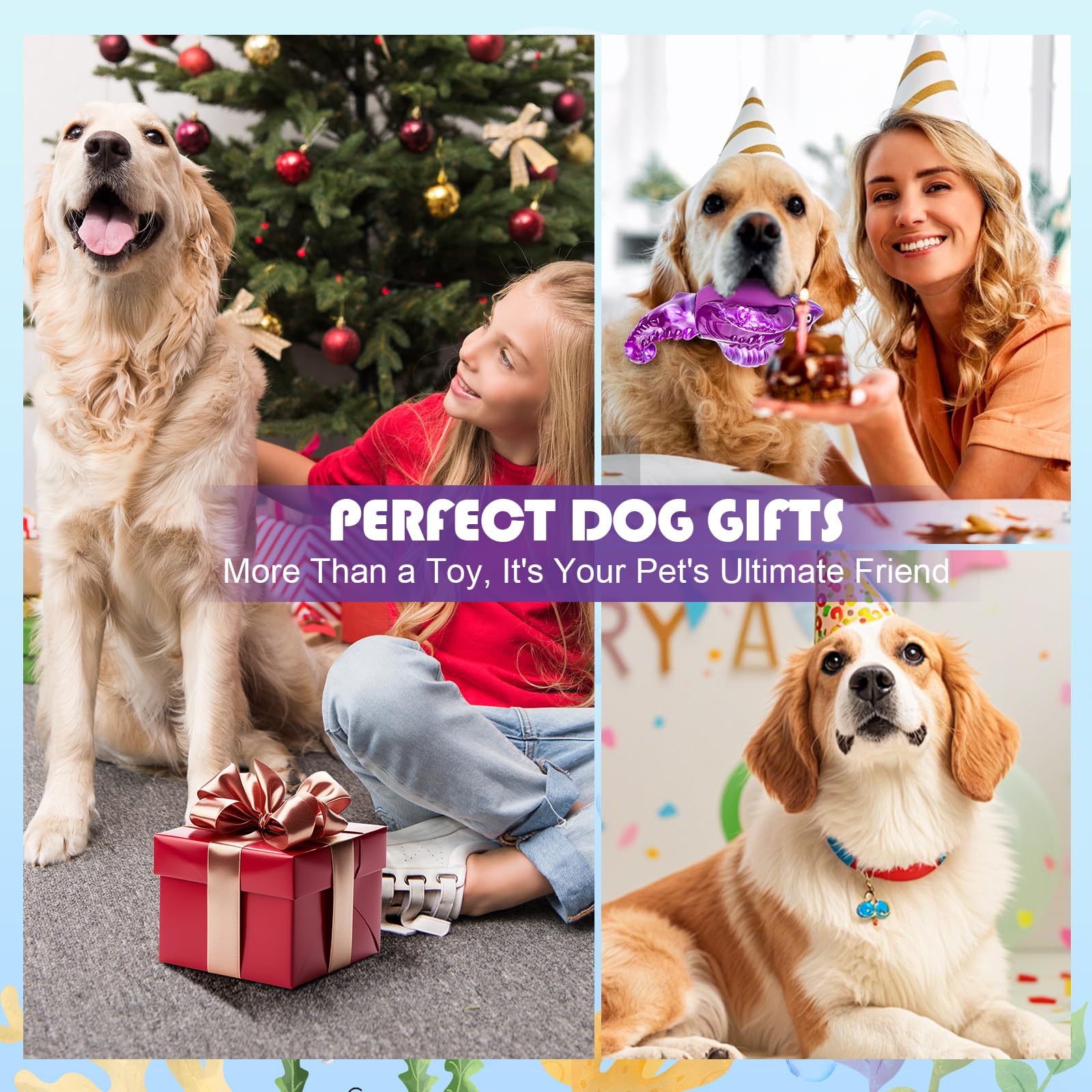 Loncoldy tough dog toy gift-ready packaging for birthdays or holidays.