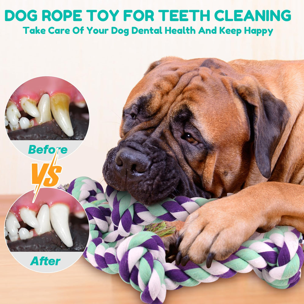loncoldy tug-of-war rope toy for interactive play and bonding