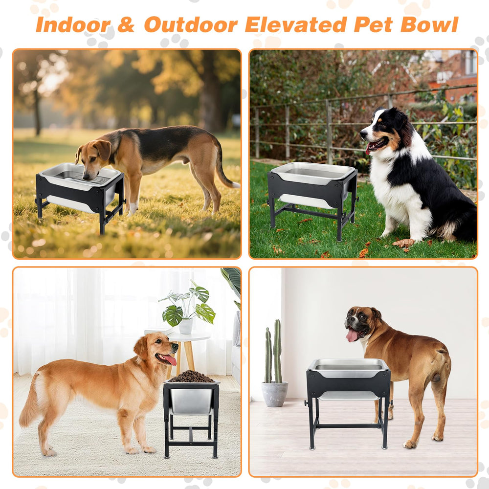 Lonepetu durable iron stand supports dogs of all sizes