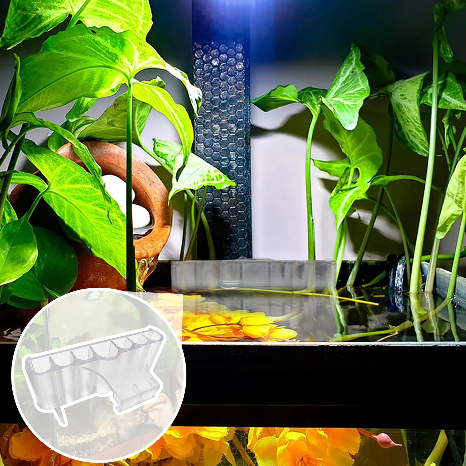 long-hook-hanging-aquarium-plant-holder enables stable placement on tank edge.