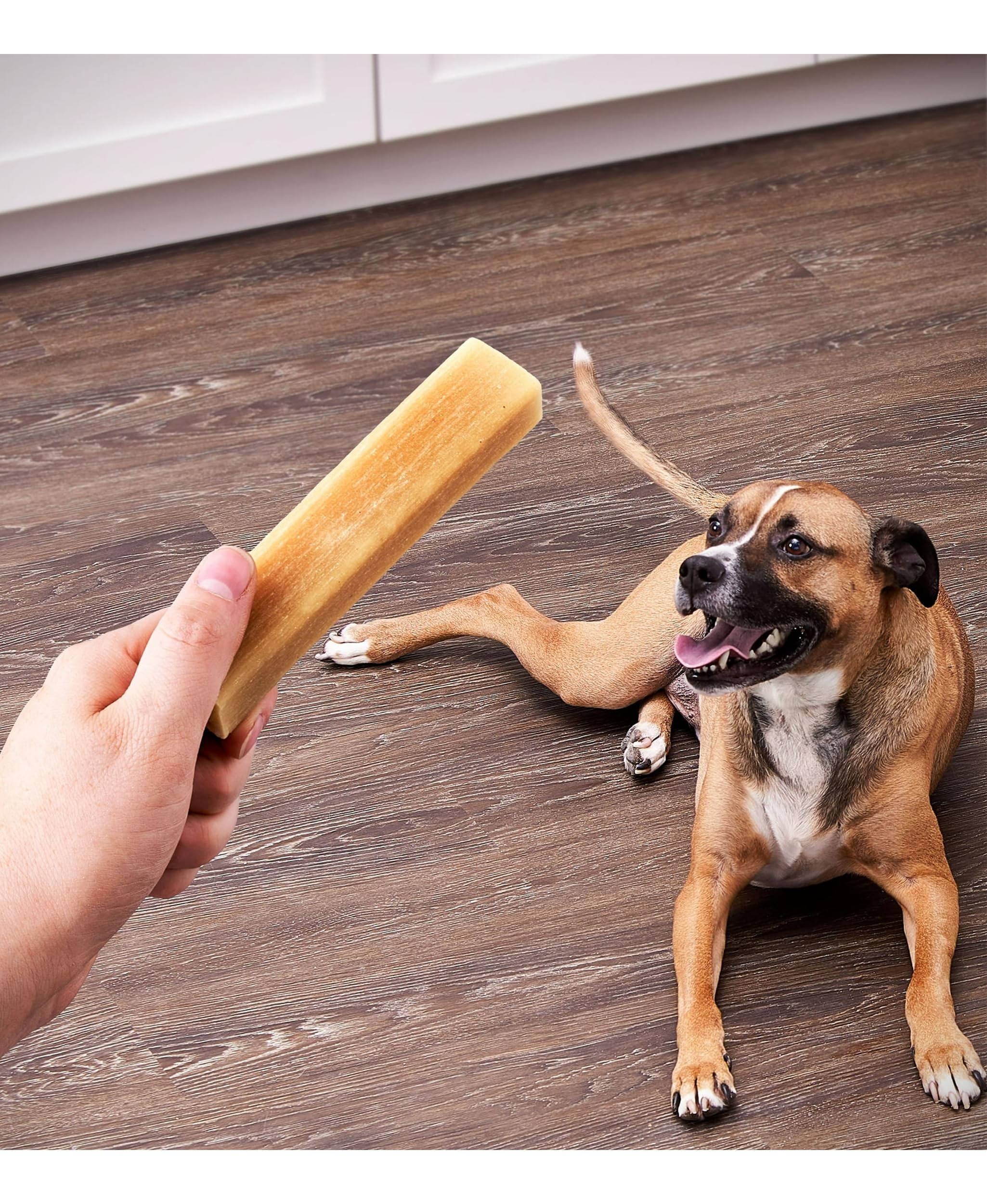 Long-Lasting Munchy Bones for Dogs dental action visible through textured chew.