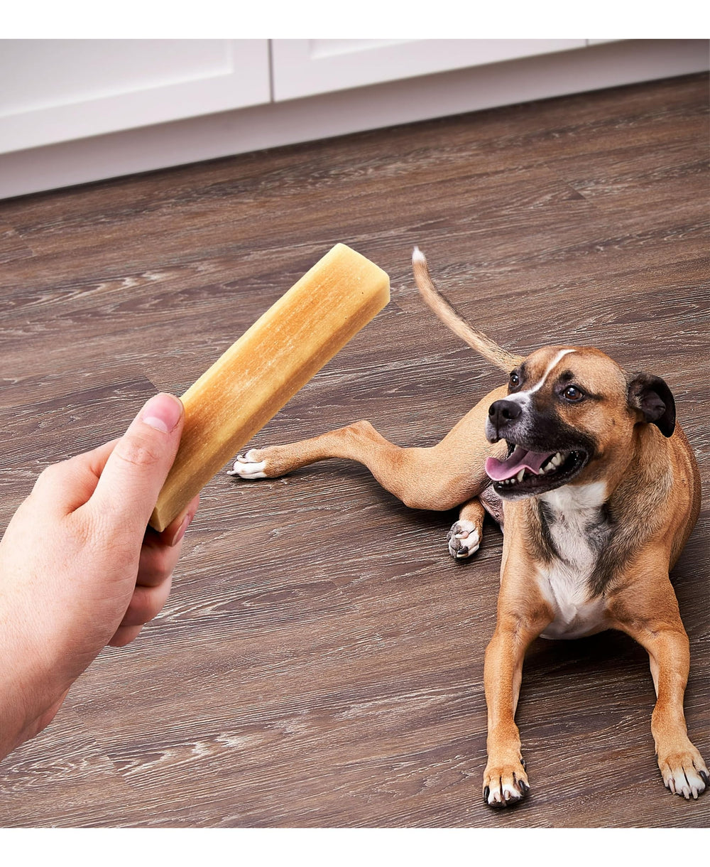 Long-Lasting Munchy Bones for Dogs dental action visible through textured chew.