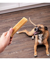 Long-Lasting Munchy Bones for Dogs dental action visible through textured chew.