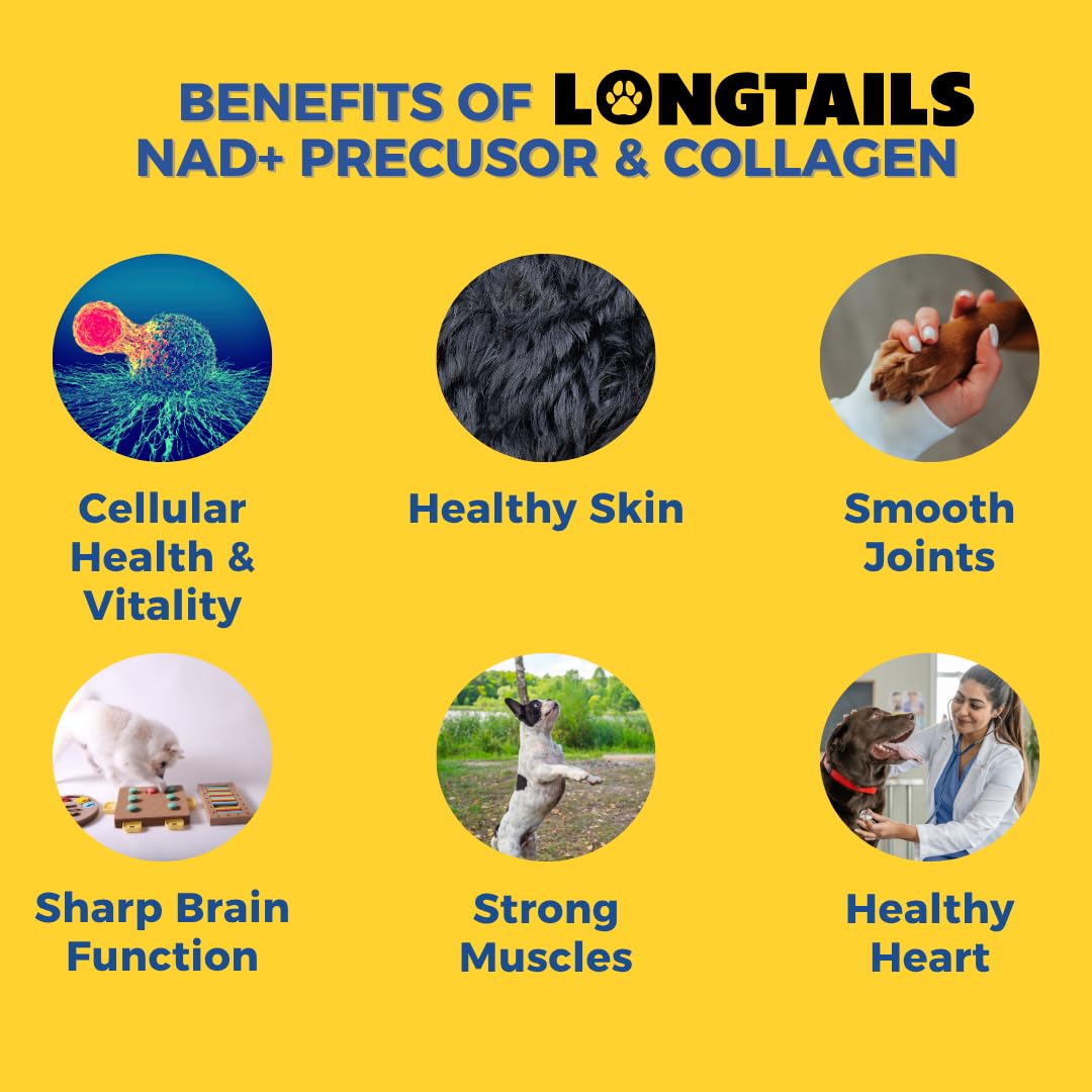 LongTails brain and heart health dog supplement jar highlight cognitive support.