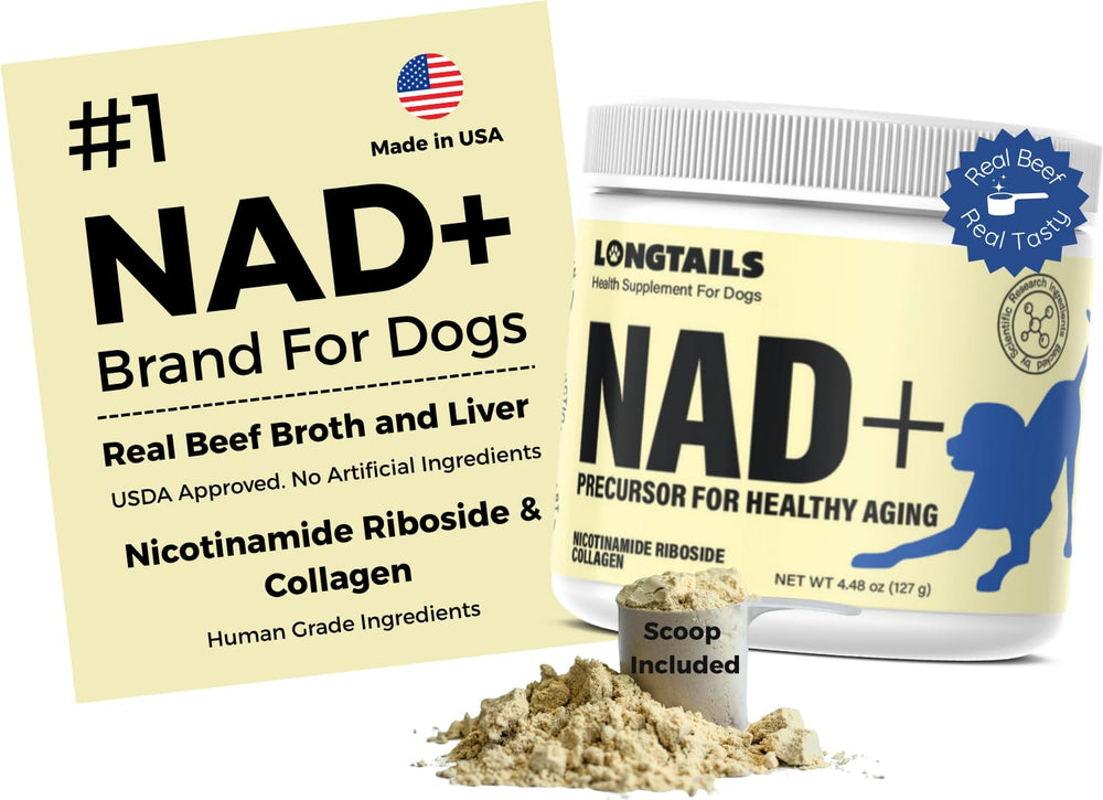 LongTails NAD+ senior dog supplement bottle pouring for energy support.