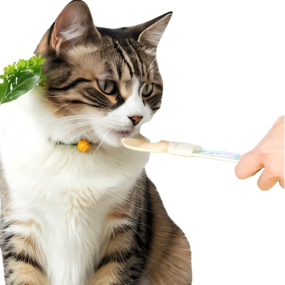 Lonsenbao cat strip feeder closeup shows safe, bite-friendly packaging protection.