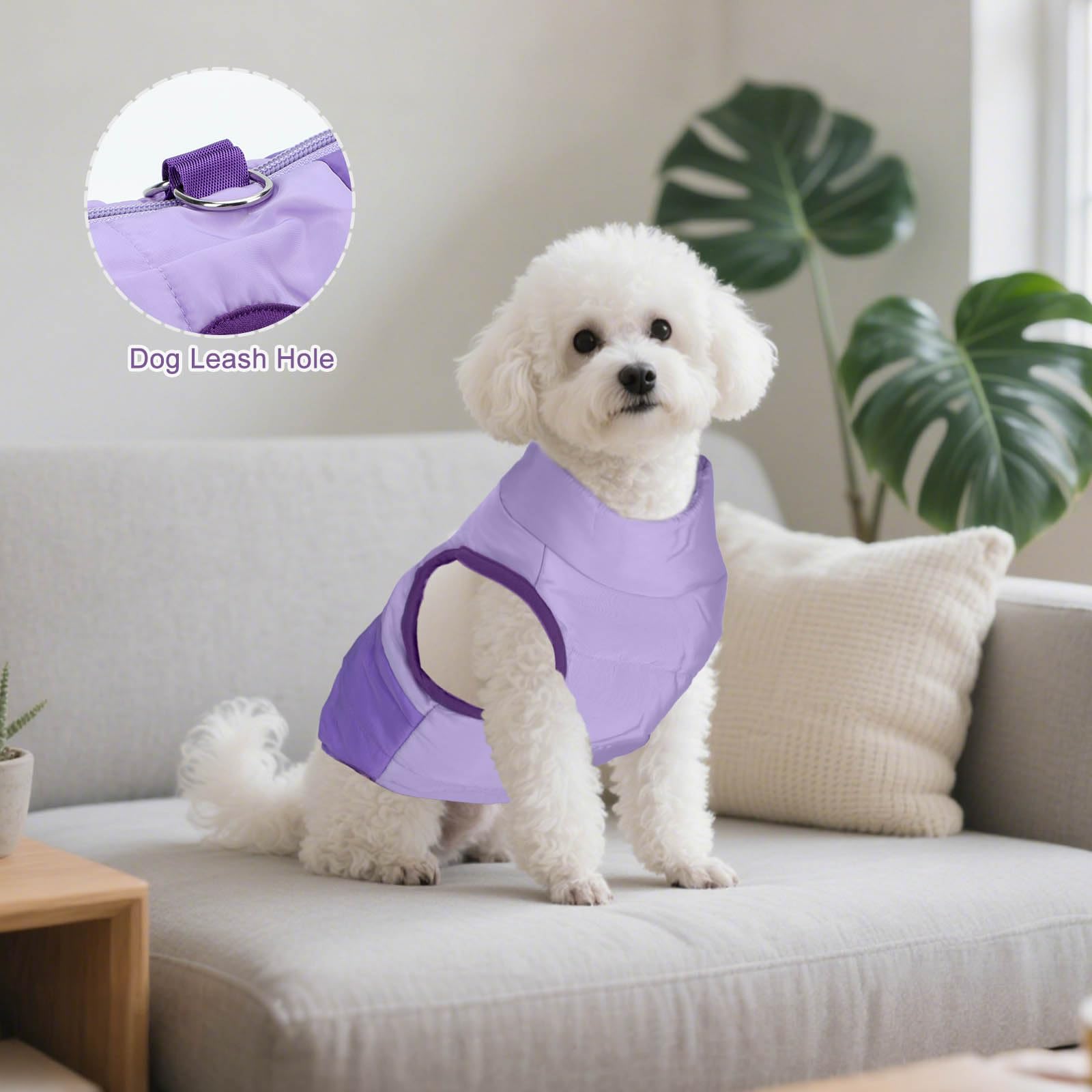 LONTEPET Winter Dog Coat worn by model demonstrates comfy, snug fit for small pets