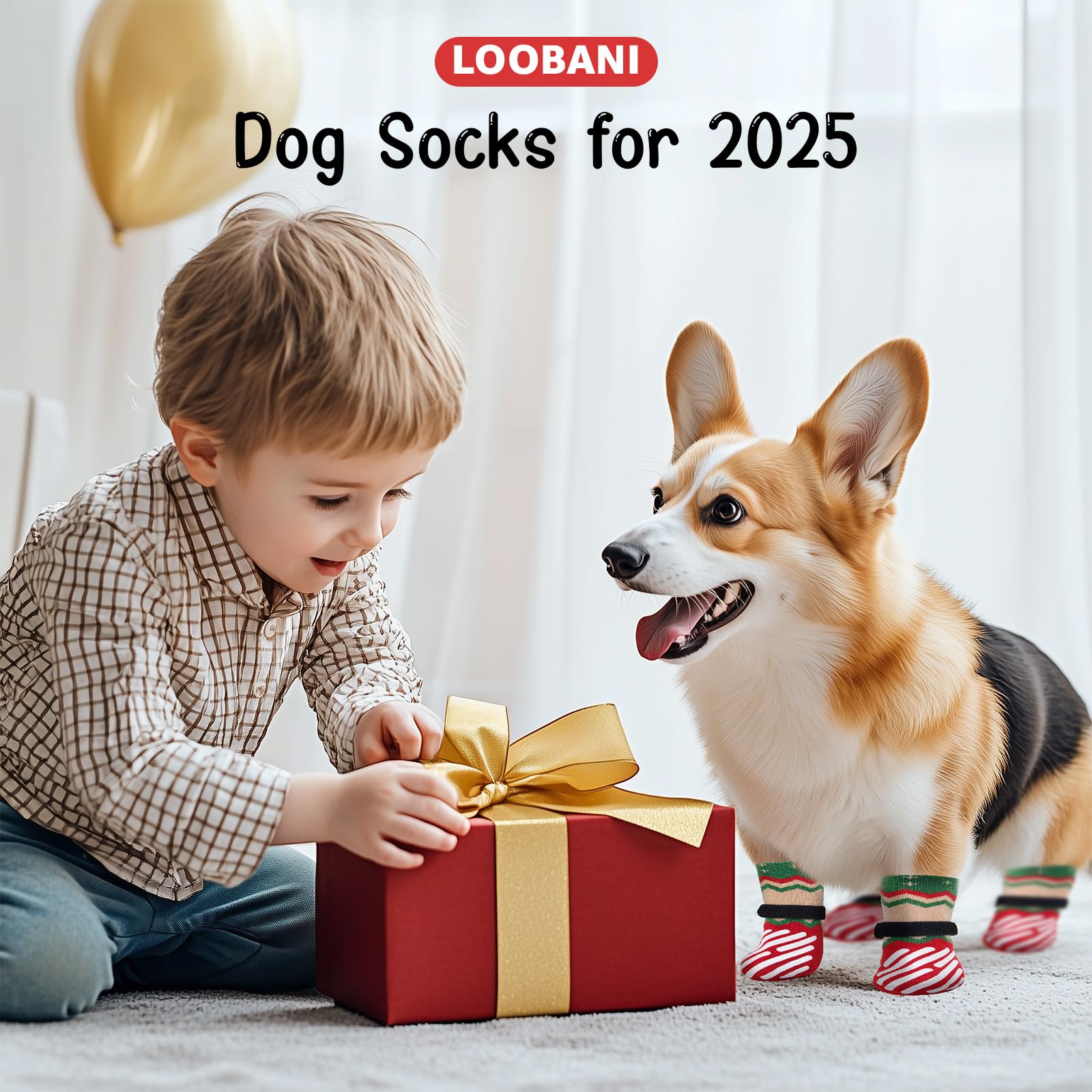 Diseño LOOBANI para perros mayores, aporta estabilidad en el hogar.