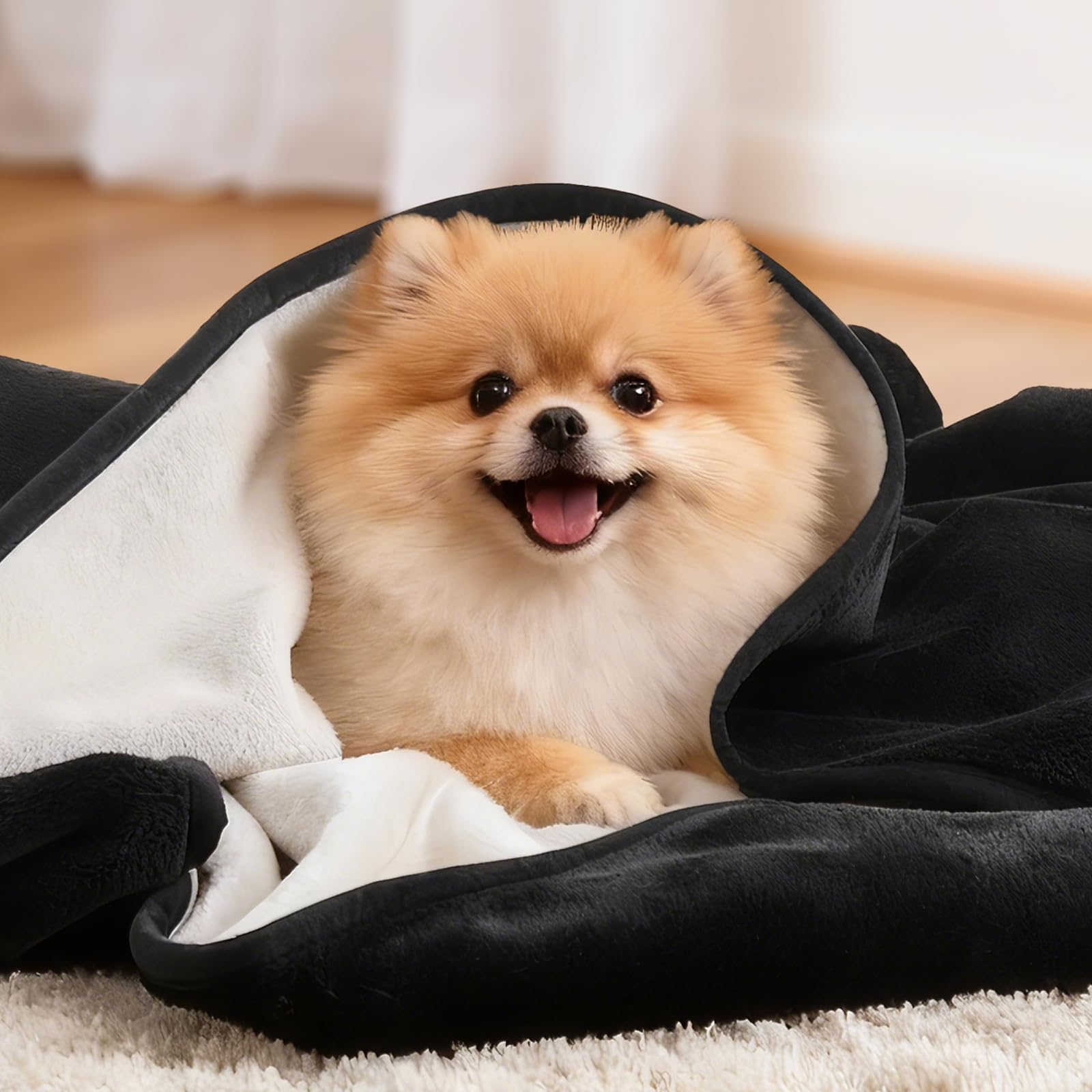 LOOBANI crate-protector blanket keeps crates clean during journeys.