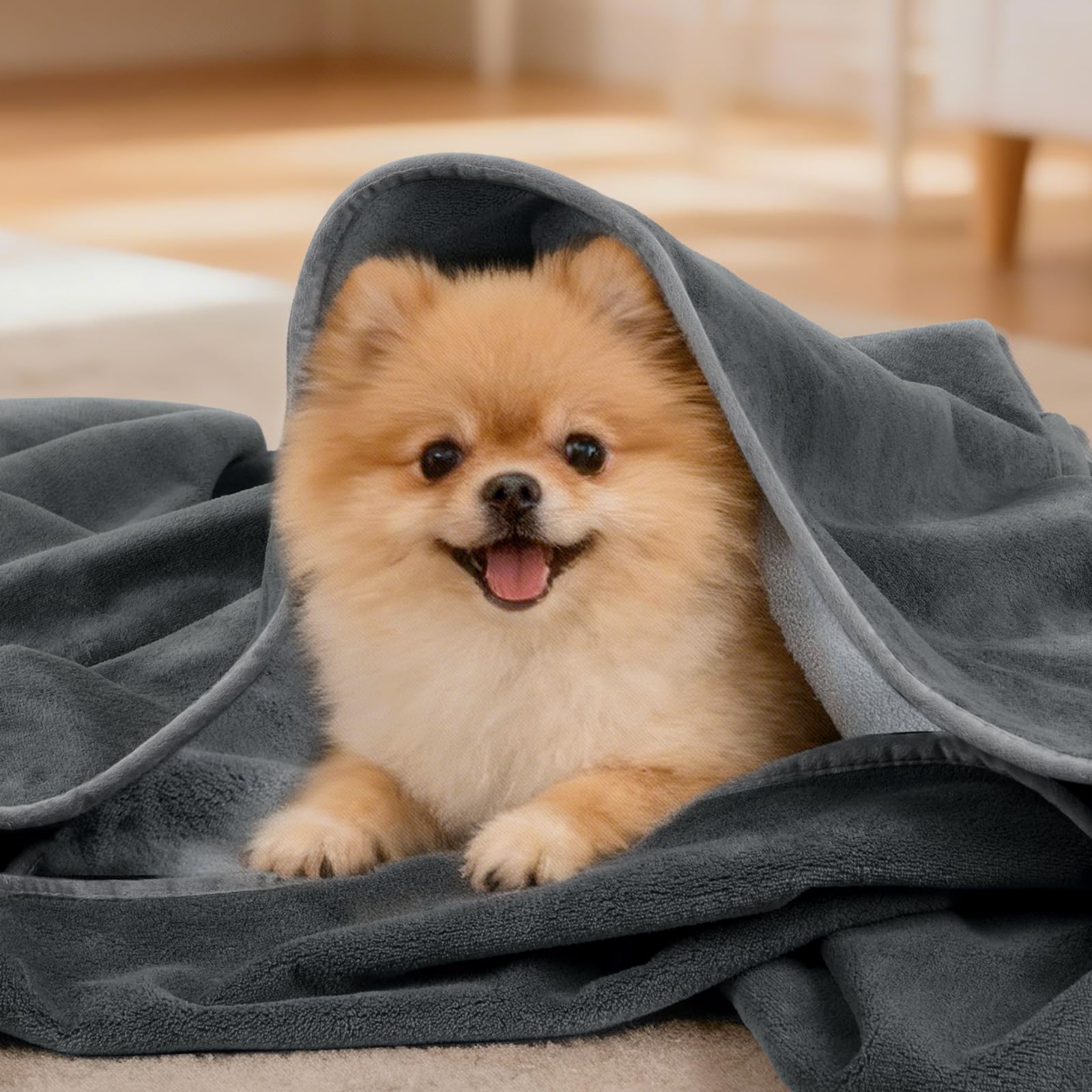 LOOBANI dog blanket outdoors at picnic with protective layer