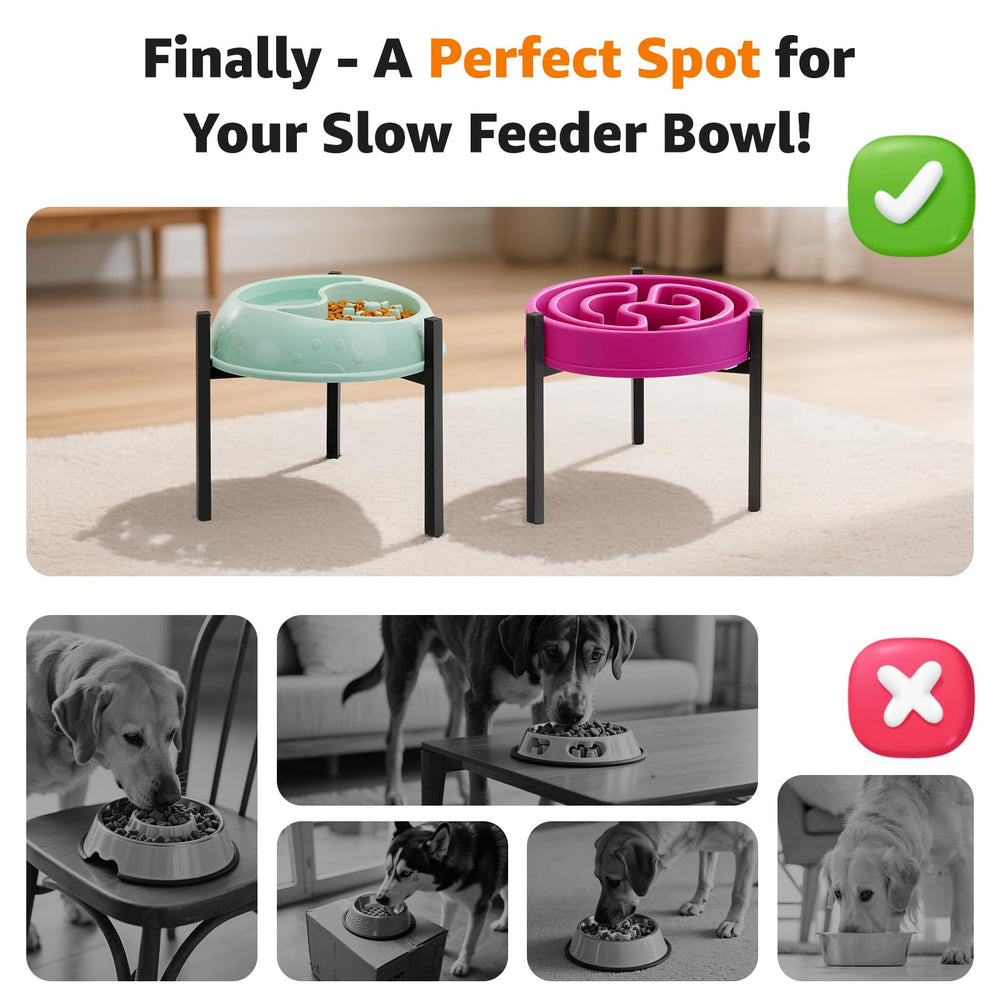 LOOBANI dog bowl stand in use with elevated feeding for a dog