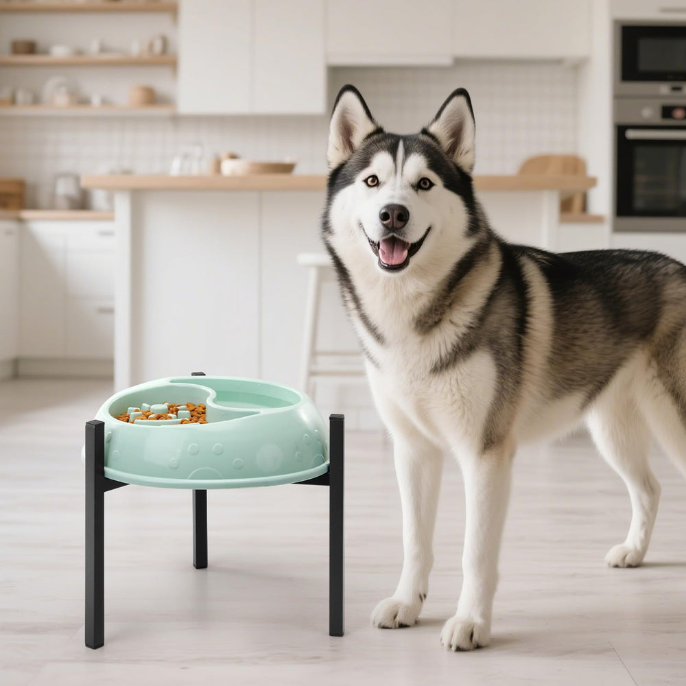 LOOBANI dog bowl stand is lightweight and portable for home or travel