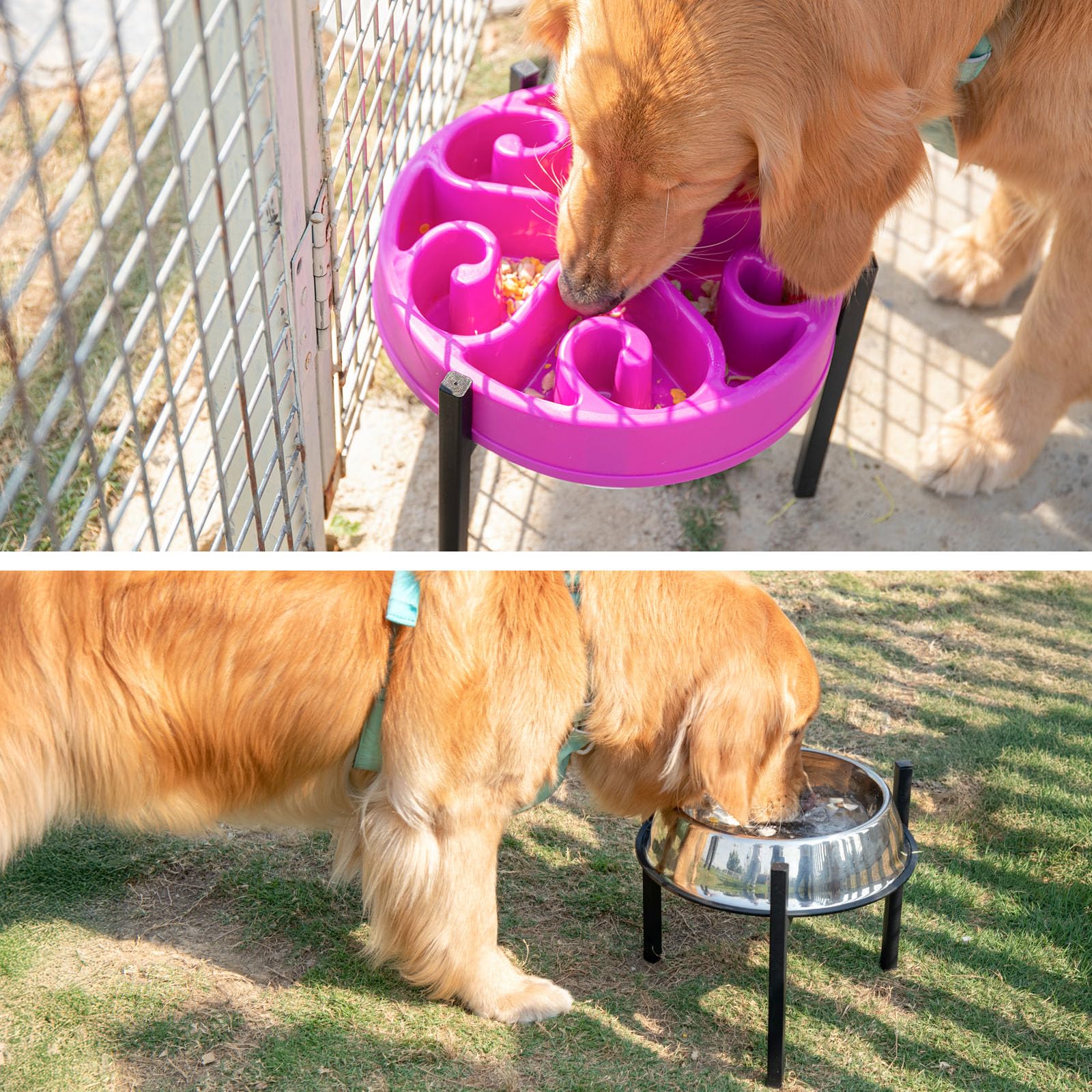 LOOBANI dog bowl stand shown without bowl ready for use