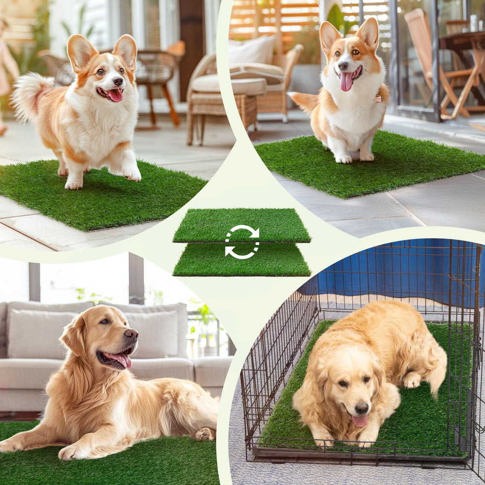 LOOBANI sturdy pee grass remains portable and weatherproof