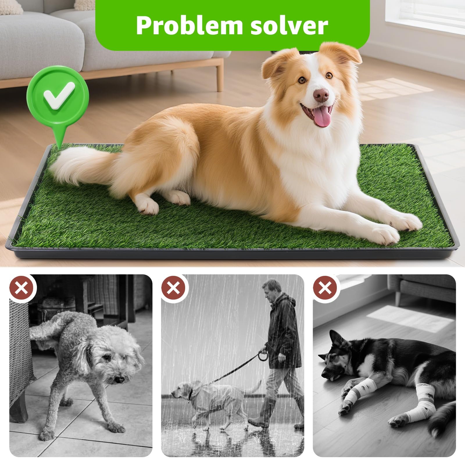 LOOBANI extra-large tray suitable for medium to large dogs